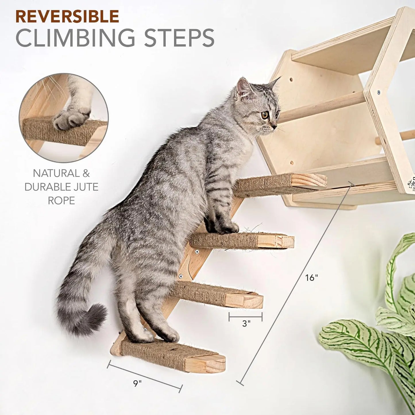 3-Piece Cat Wall Furniture Set - Hammock, Hexagon House, ClimSteps - Wall Mounted Shelves, Perches, and Beds - Modern Design