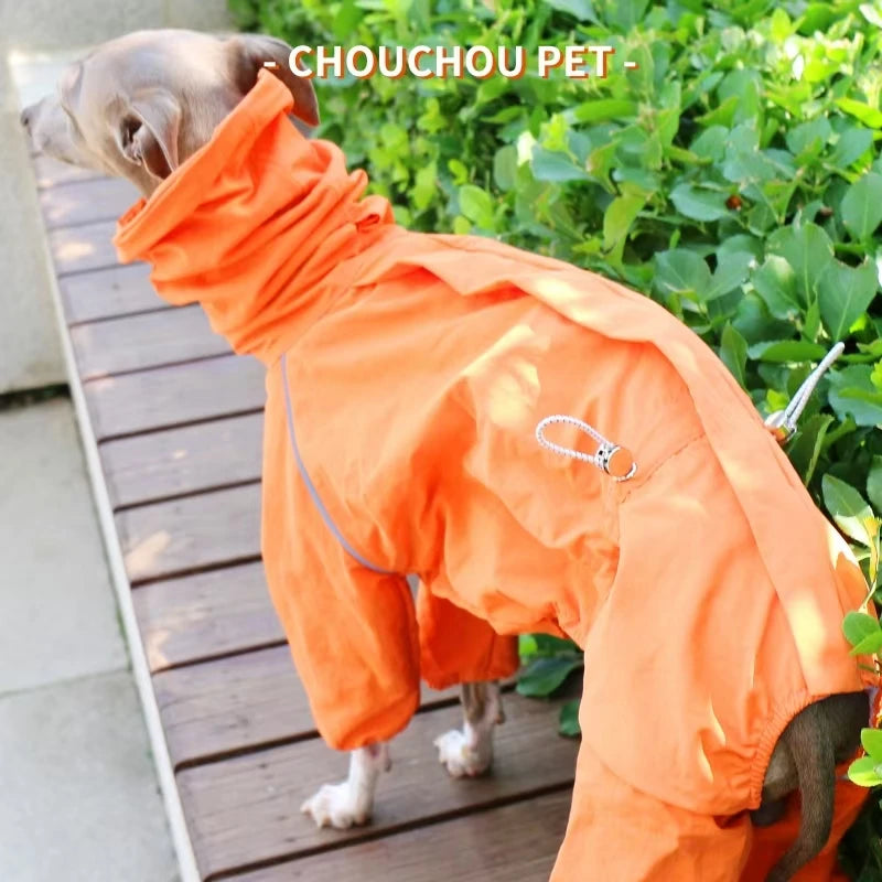 Italian Greyhound Raincoat, Autumn and Winter Outdoor Pet Jacket ,Whippet Windproof and Rainproof Dog Clothes