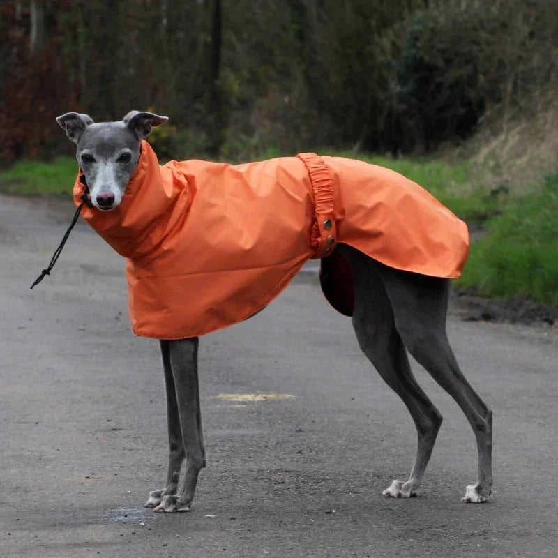 Waterproof Dog Raincoat , Large Size Luxury Whippet Greyhound Dog Raincoats Jacket, Doberman, Pinscher, Raincoat Outdoor Walking