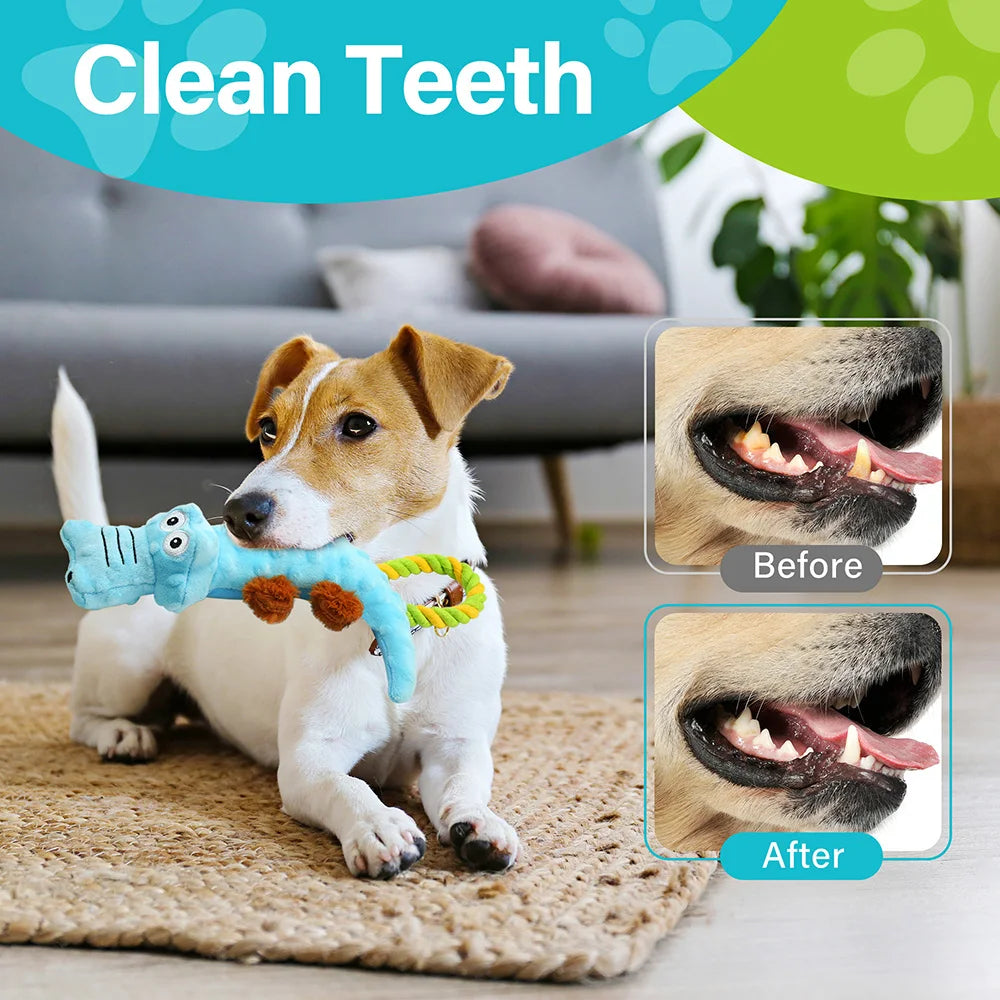 Pets Dog Squeaky Toy, 2 Pack, Tug of War Dog Toys for Dogs, Interactive Plush Puppy Chew Toy, Plush Sound Squeak Toys Pet Supplies