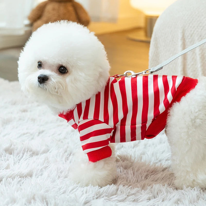 Winter Dog Clothes , Cute Cartoon Dog Warm Hoodie, Chihuahua, French Bulldog, Sweatshirt Puppy Outfit, Coat Pet, Dog Costume