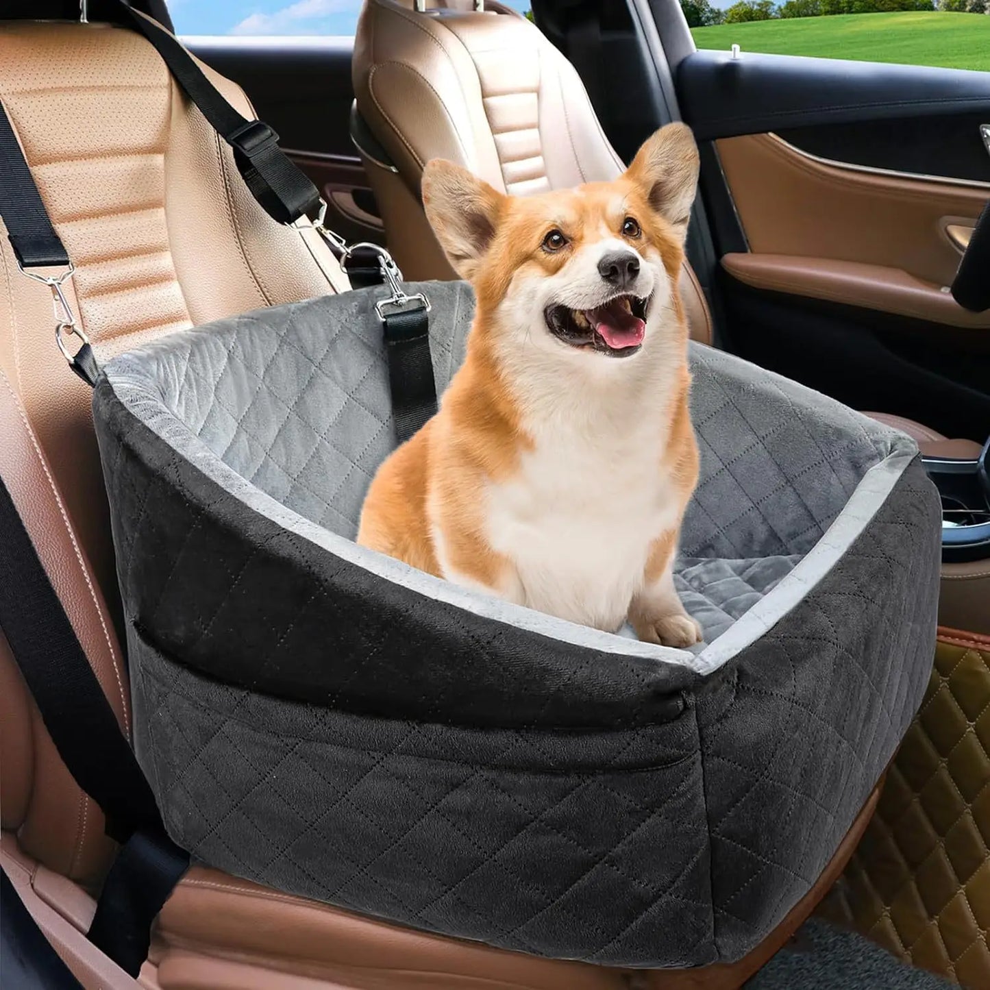 Popular Pet Car Seat, Removable Washable, Small Medium Dogs, Pet Travel Safety Seat