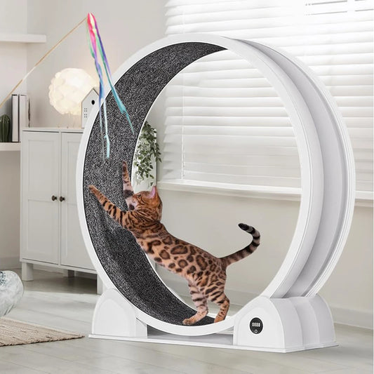 Cat Exercise Wheel for Indoor Cats, ABS Cat Wheel Exerciser Quiet Cats Treadmill with Pedometer, Small Animal Running Wheels