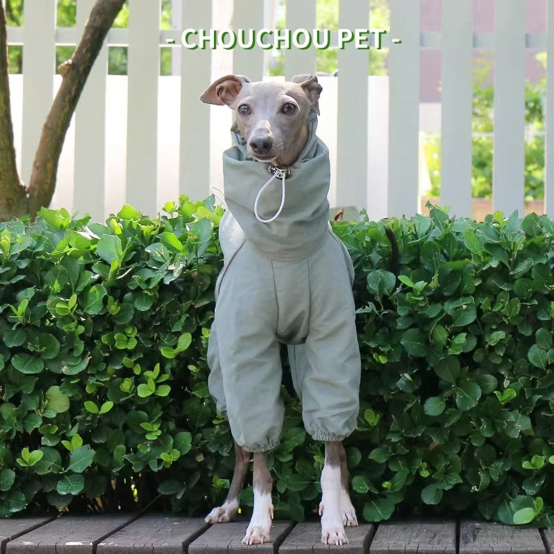 Italian Greyhound Raincoat, Autumn and Winter Outdoor Pet Jacket ,Whippet Windproof and Rainproof Dog Clothes