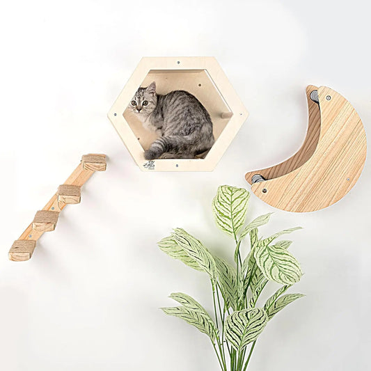 3-Piece Cat Wall Furniture Set - Hammock, Hexagon House, ClimSteps - Wall Mounted Shelves, Perches, and Beds - Modern Design