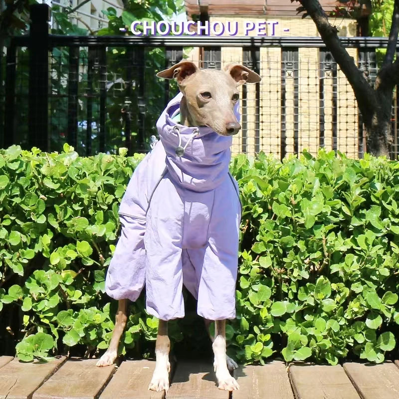 Italian Greyhound Raincoat, Autumn and Winter Outdoor Pet Jacket ,Whippet Windproof and Rainproof Dog Clothes