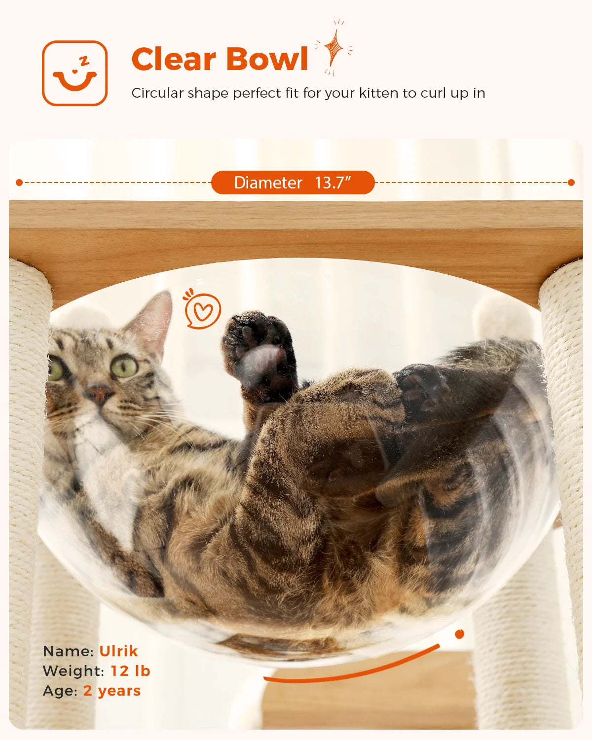 Multi-Level Cat Tree for Indoor Wood Cat , Tower with Scratching Posts Spacious Condo, Hammock Top Perch Cat Scratcher