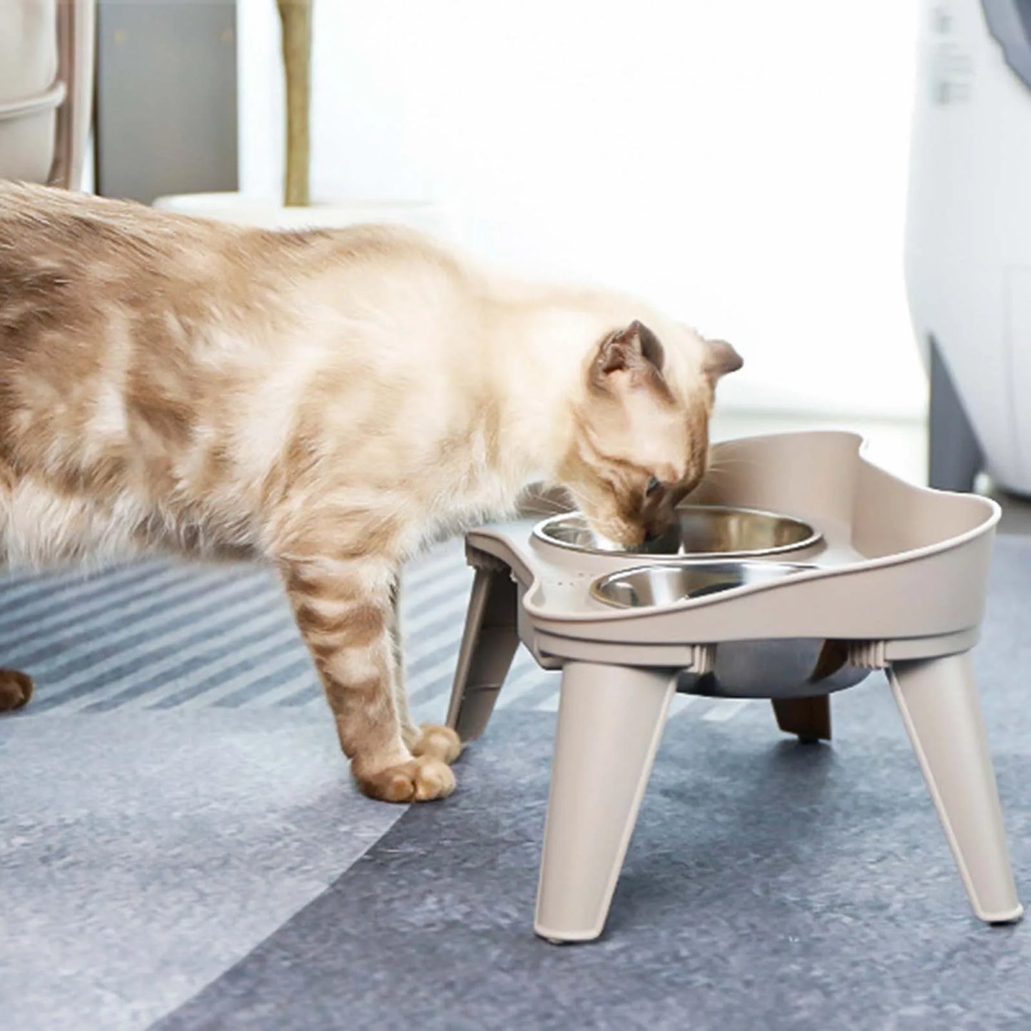 Raised Stand Elevated Dog Feeder, Non-Slip and No Spill Design Bowl, Pet Supplies Suitable for Improve Posture and Comfort ,-US