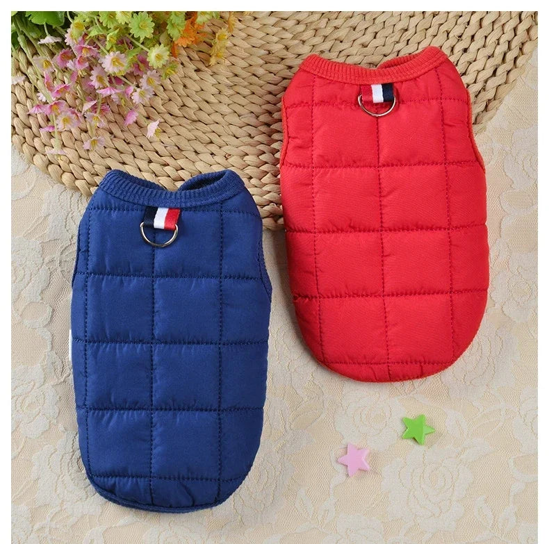 Winter Warm Dog Coat,  Jacket Windproof Dog,  Clothes for Small Dogs , Clothing Chihuahua