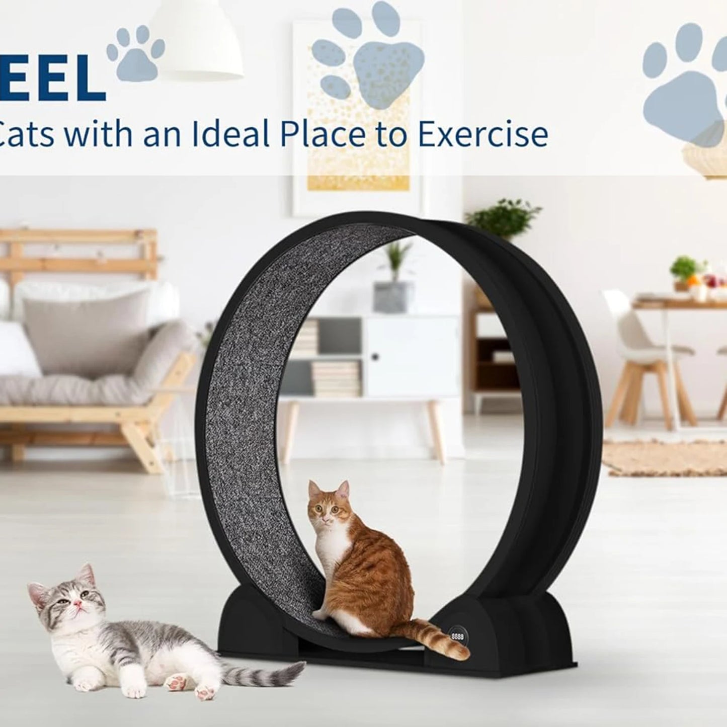 Cat Exercise Wheel for Indoor Cats, ABS Cat Wheel Exerciser Quiet Cats Treadmill with Pedometer, Small Animal Running Wheels
