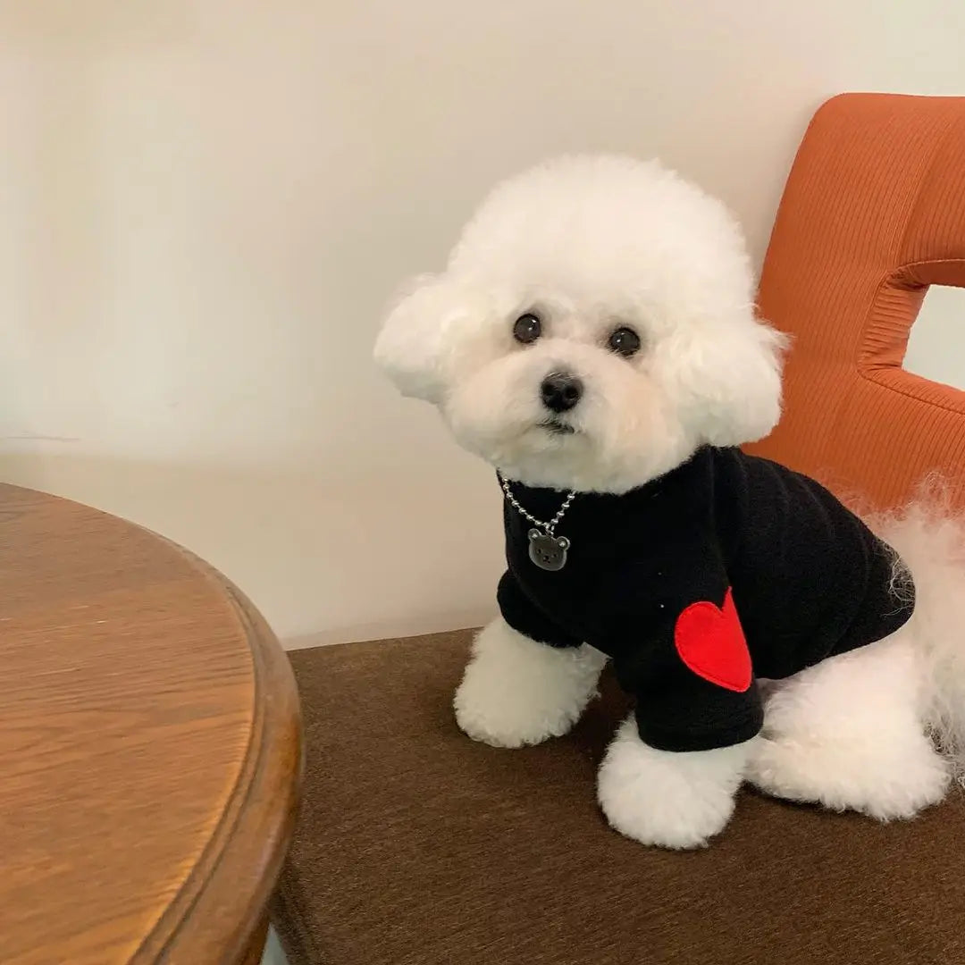 Winter Dog Shirt Heart-shaped Patch, Embroidery Sweatshirt, Chihuahua Breathable Warm Shirt, Puppy Outdoor Clothes