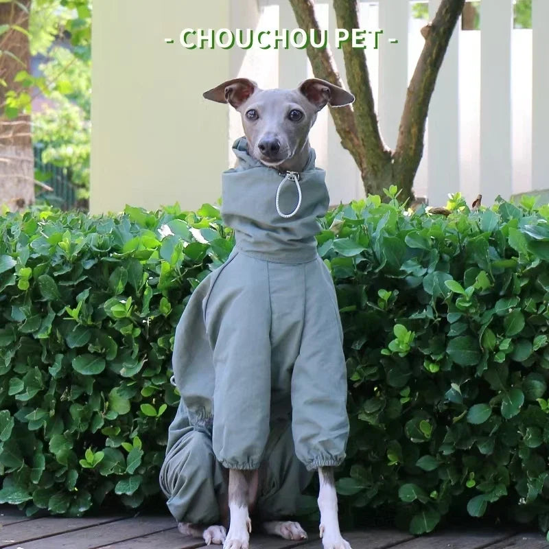 Italian Greyhound Raincoat, Autumn and Winter Outdoor Pet Jacket ,Whippet Windproof and Rainproof Dog Clothes