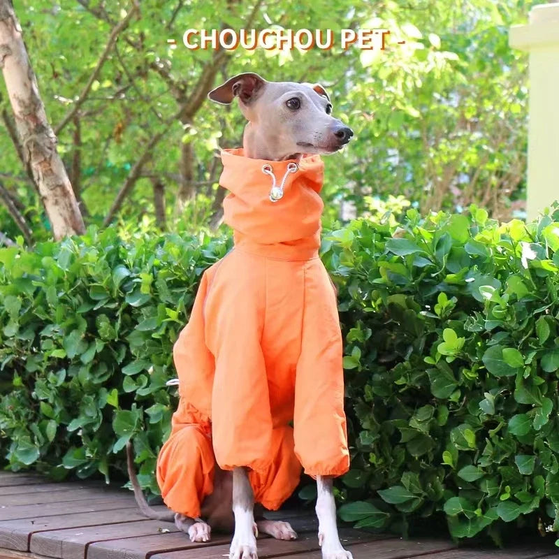Italian Greyhound Raincoat, Autumn and Winter Outdoor Pet Jacket ,Whippet Windproof and Rainproof Dog Clothes