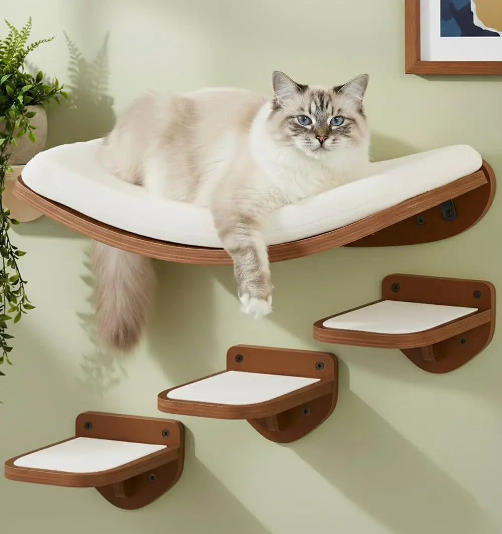 Cat Wall Shelves, Walnut Finish – Floating Cat Furniture with Curved Bed & Steps | Modern Minimalist Wood ClimShelves Set of