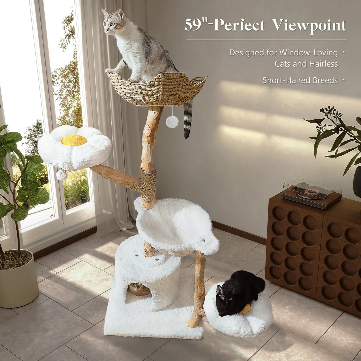 Solid Wood Cat Tree, Modern Cat Tower with Spacious Cat Condo, Flower Perches, Fun Pompom, Double Comfort Perfect for Indoor Kittens
