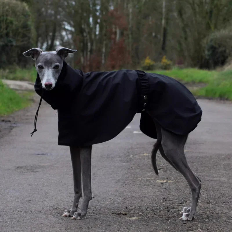 Waterproof Dog Raincoat , Large Size Luxury Whippet Greyhound Dog Raincoats Jacket, Doberman, Pinscher, Raincoat Outdoor Walking
