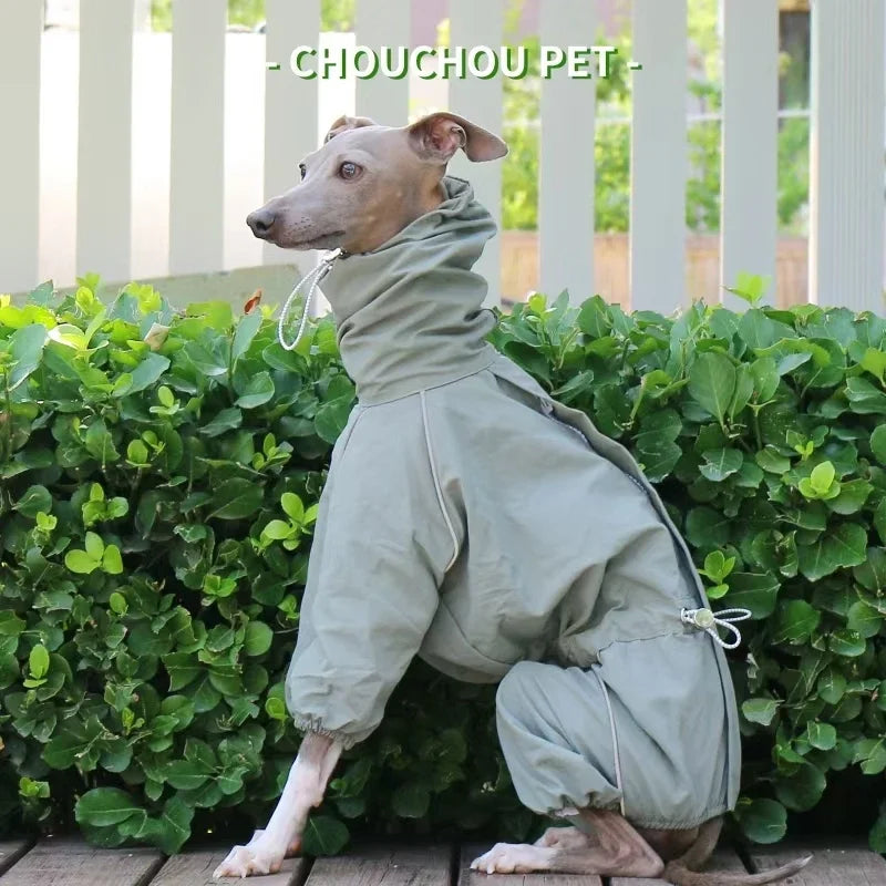 Italian Greyhound Raincoat, Autumn and Winter Outdoor Pet Jacket ,Whippet Windproof and Rainproof Dog Clothes