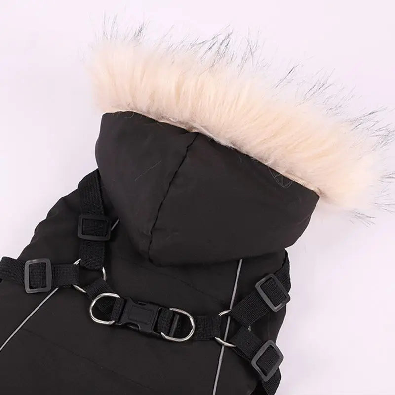Winter Pet Dog Jacket With Harness, Warm Dog Clothes Waterproof Hooded Coat for Small Medium Dogs Chihuahua French Bulldog Outfit