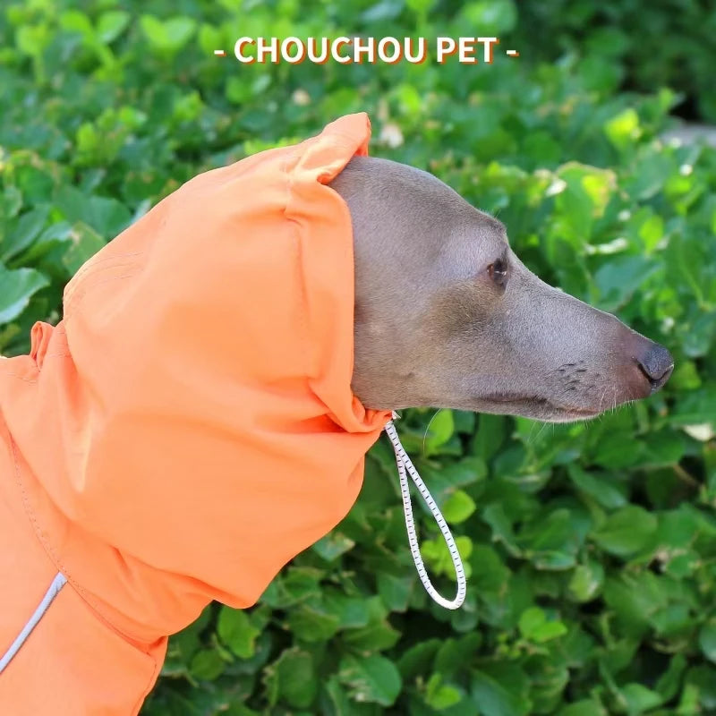 Italian Greyhound Raincoat, Autumn and Winter Outdoor Pet Jacket ,Whippet Windproof and Rainproof Dog Clothes