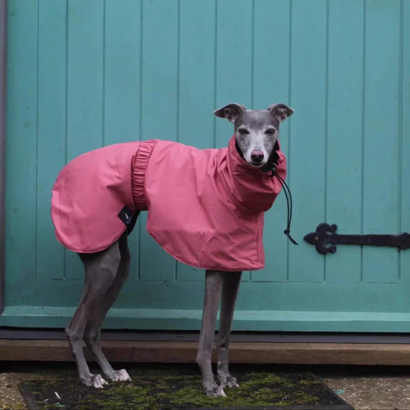 Waterproof Dog Raincoat , Large Size Luxury Whippet Greyhound Dog Raincoats Jacket, Doberman, Pinscher, Raincoat Outdoor Walking