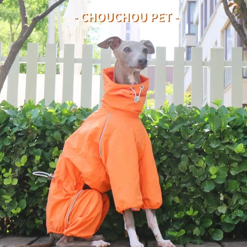 Italian Greyhound Raincoat, Autumn and Winter Outdoor Pet Jacket ,Whippet Windproof and Rainproof Dog Clothes