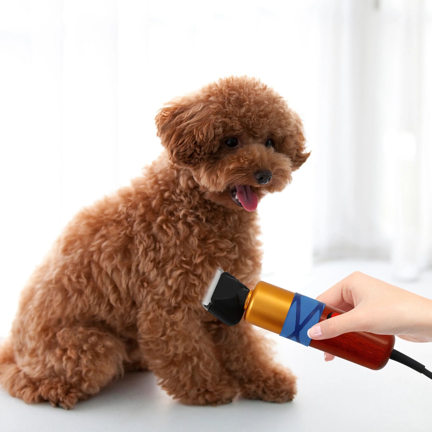 Pet Hair Clipper, Low Noise High-efficiency, Professional Electric Variable Speed Hair Shearing, For Sheep Dogs Cats Pet