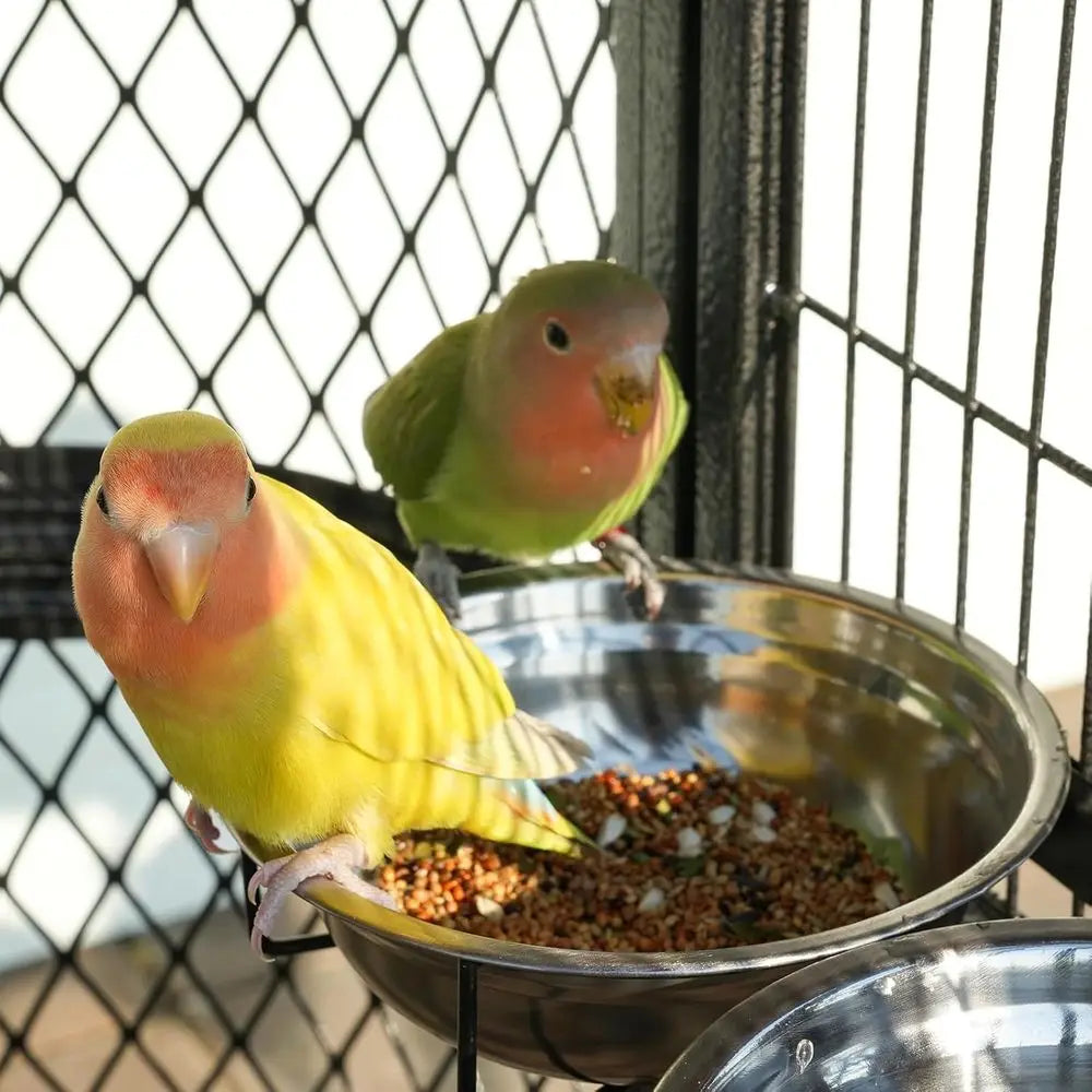 Outdoor Parrot Cage, 6.4x3.87x5.91ft, Silver, for Macaw, Budgie, Conure, Lovebird, Parakeet, Cockatiel. Heavy Duty