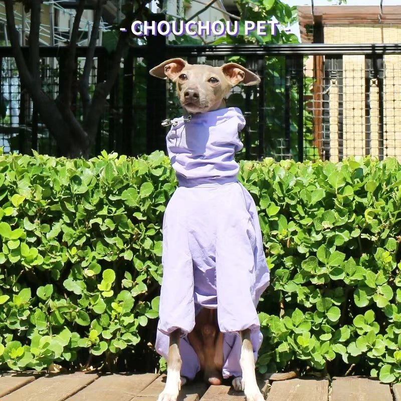 Italian Greyhound Raincoat, Autumn and Winter Outdoor Pet Jacket ,Whippet Windproof and Rainproof Dog Clothes