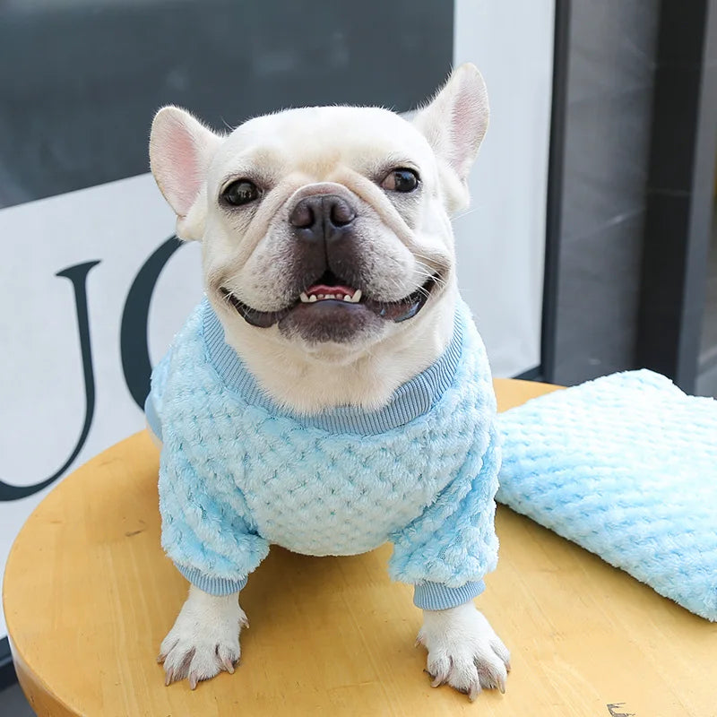 Winter Pet Dog Clothes,  Bear Print Dog Hoodie,  Soft Warm Puppy Sweatshirt , Chihuahua, French Bulldog, Coat Jacket Fashion, Dog Costume