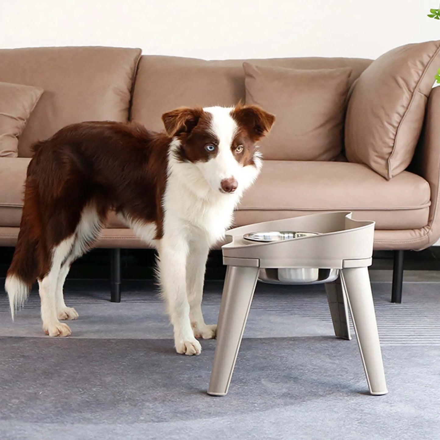 Raised Stand Elevated Dog Feeder, Non-Slip and No Spill Design Bowl, Pet Supplies Suitable for Improve Posture and Comfort ,-US