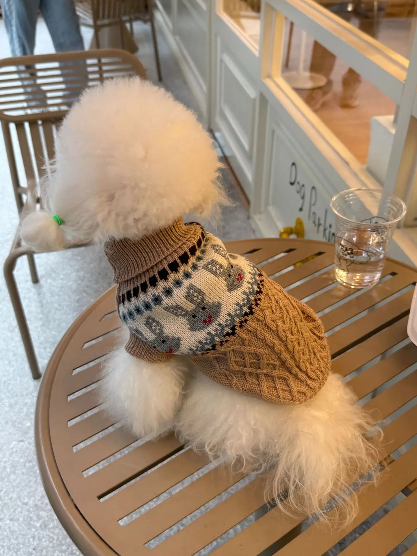 Warm Autumn and Winter Pet Clothes ,Small Dog and Cat Sweaters, Korean Pink Green Knitted Sweater, Simple Fabric Soft Comfortable