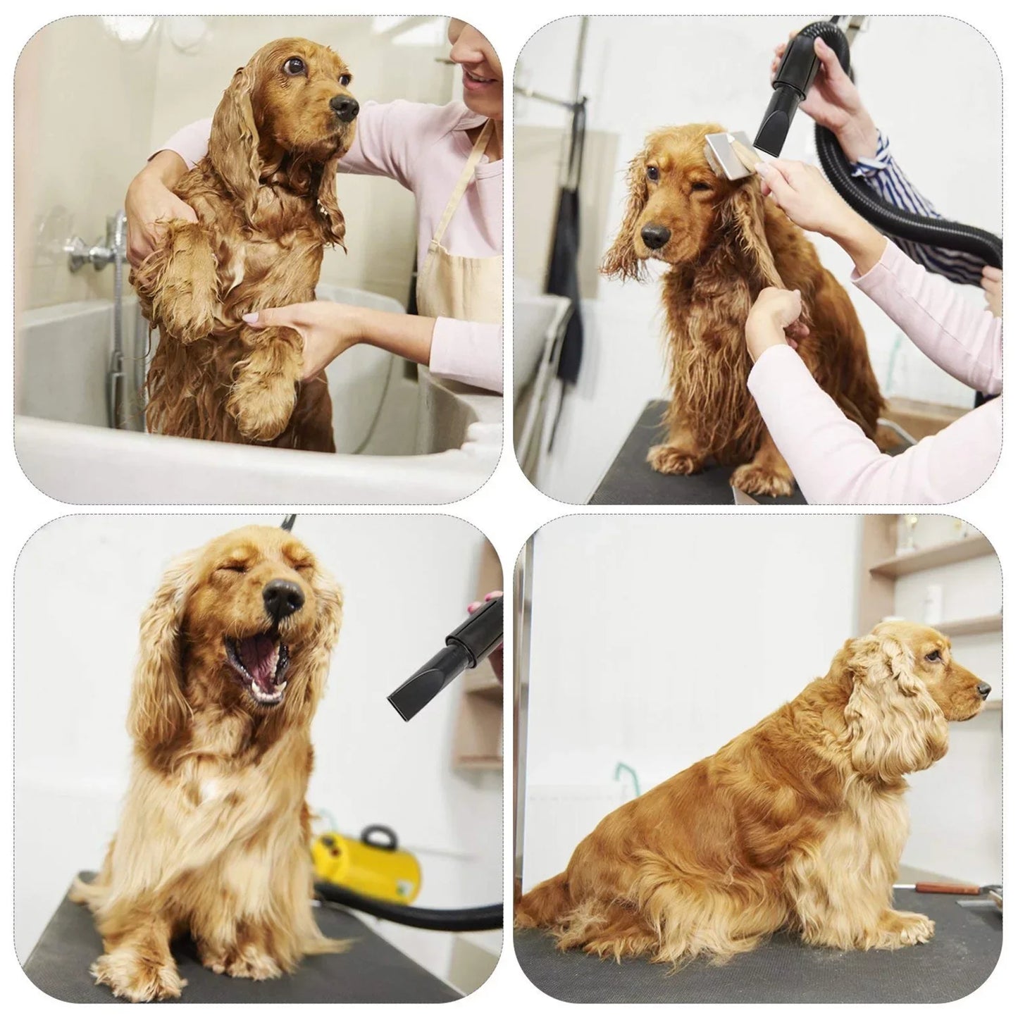 Dog Hair Dryer, 3.8HP 2800W Pet Grooming Blower for Large Dogs Hair Force Blaster with Heat, Stepless Speed Adjustable