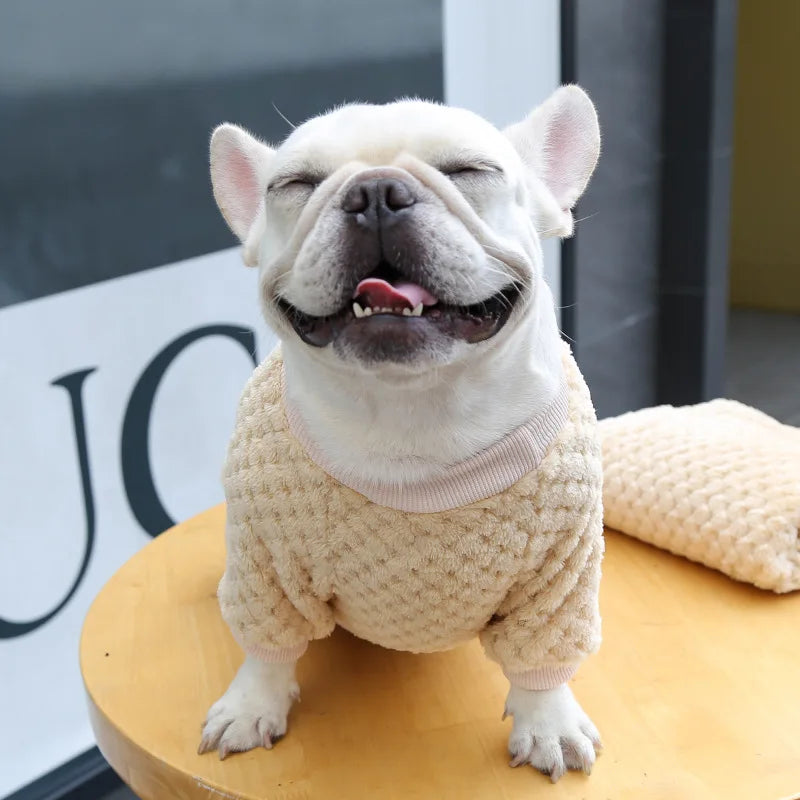 Winter Pet Dog Clothes,  Bear Print Dog Hoodie,  Soft Warm Puppy Sweatshirt , Chihuahua, French Bulldog, Coat Jacket Fashion, Dog Costume