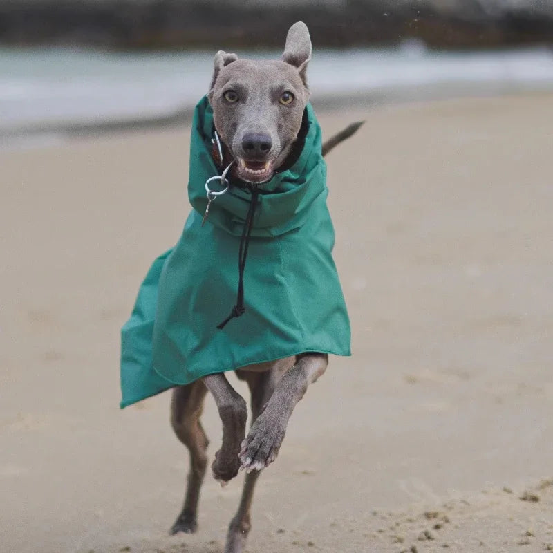 Waterproof Dog Raincoat , Large Size Luxury Whippet Greyhound Dog Raincoats Jacket, Doberman, Pinscher, Raincoat Outdoor Walking