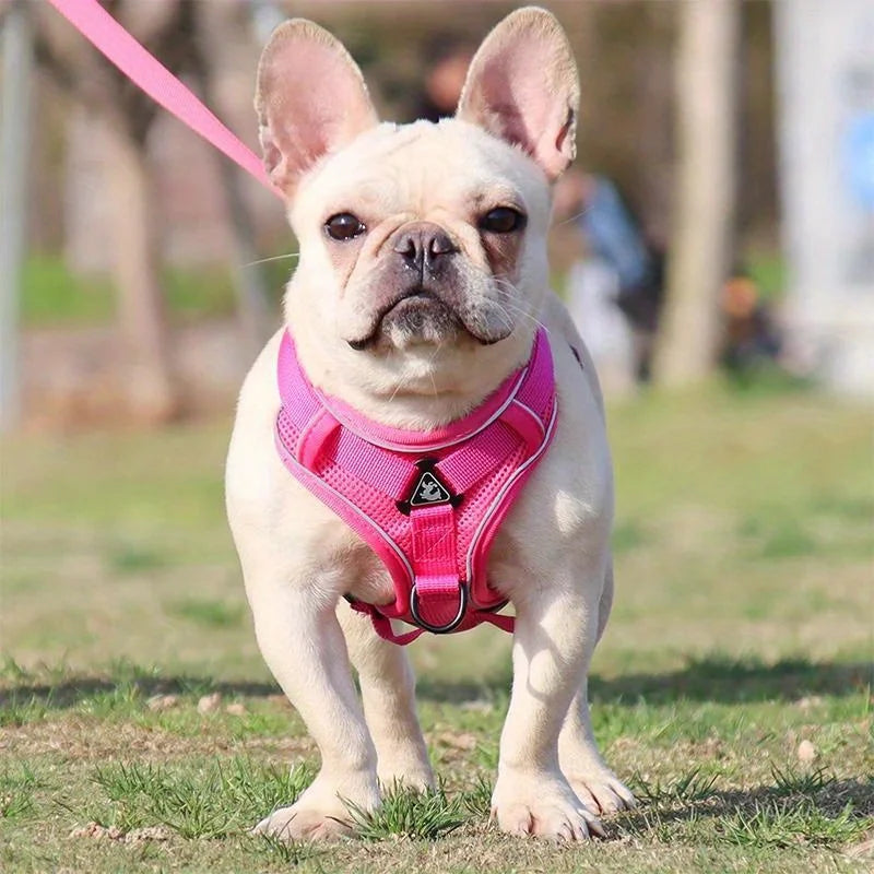 No Pull Dog Harness and Leash Set Adjustable Pet Harness Vest for Small Dogs Cats Reflective Dog Chest Strap Lead Walking