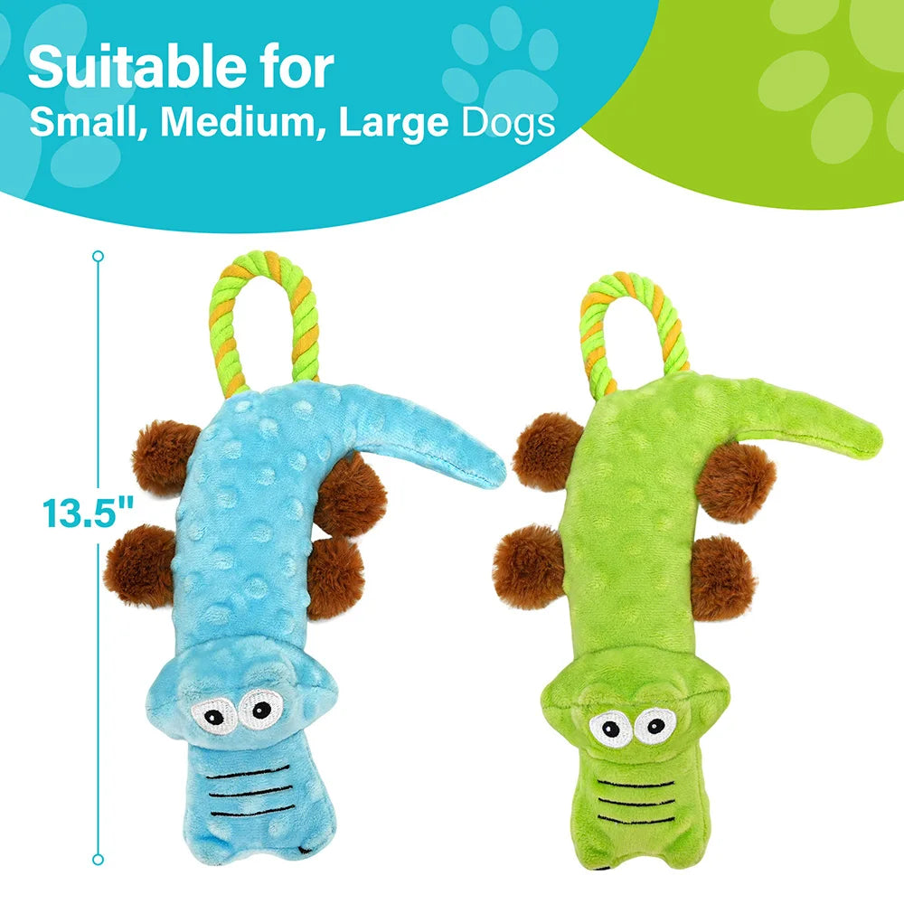 Pets Dog Squeaky Toy, 2 Pack, Tug of War Dog Toys for Dogs, Interactive Plush Puppy Chew Toy, Plush Sound Squeak Toys Pet Supplies