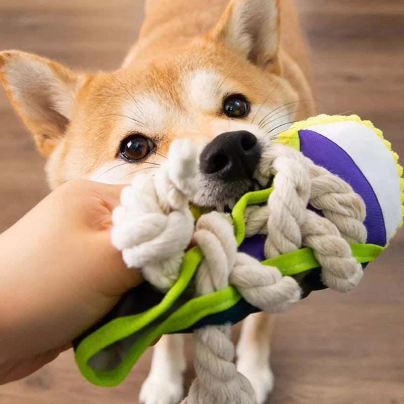 Dog Squeak Toy, Teeth Grinding,  Bite Resistant Slippers Shape. Puppy Chew Toy With Cotton Rope. Pet Chewing Toys. Dog Toys