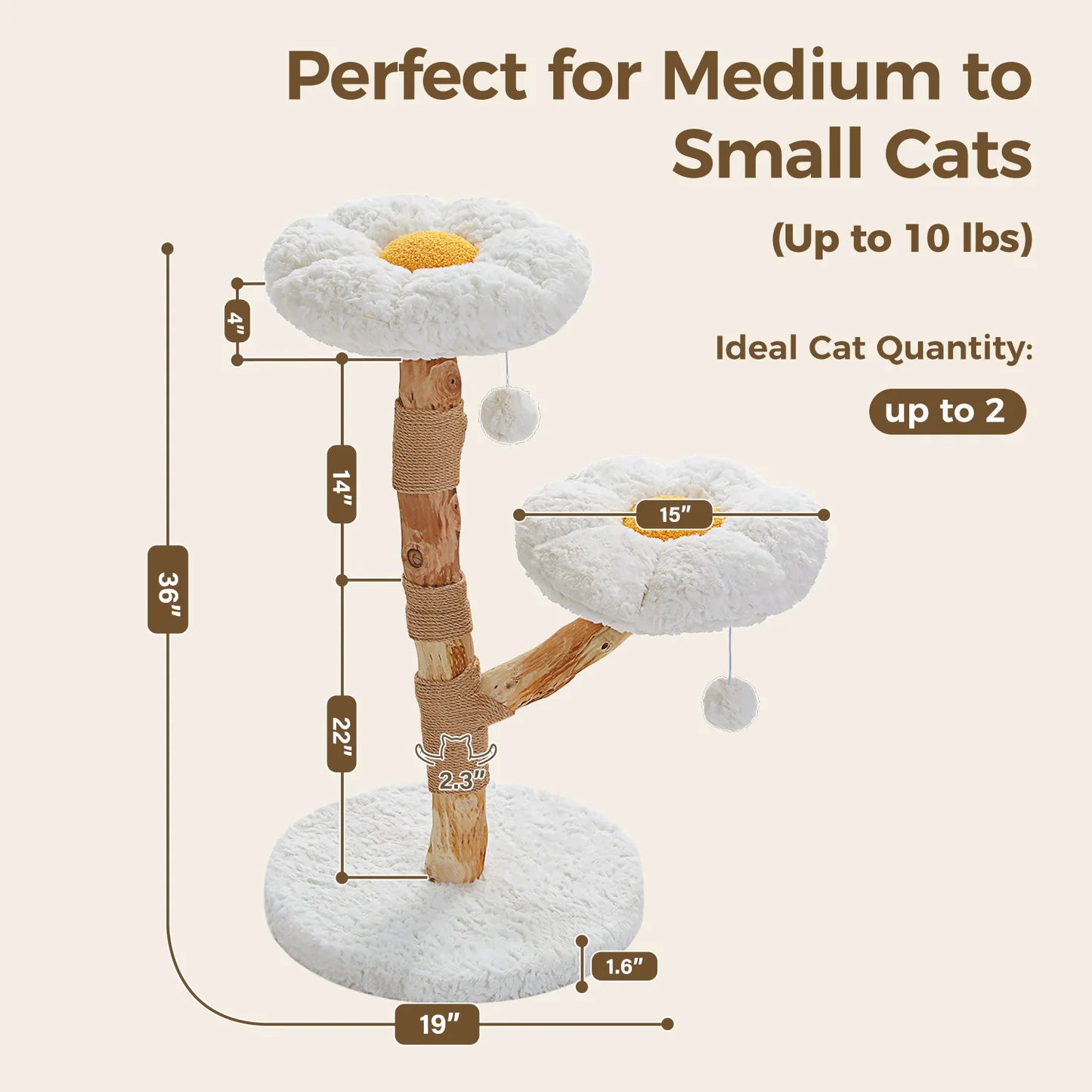 Solid Wood Cat Tree, Modern Cat Tower with Spacious Cat Condo, Flower Perches, Fun Pompom, Double Comfort Perfect for Indoor Kittens