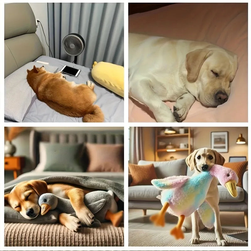 Soft Colorful Duck Plush Toy for Cats Dogs,  Relax Pet Companion ,  Anxiety-Relieving, Dog Buddy,  Energy Release Gift for Pets