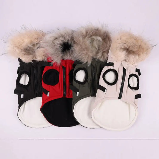 Winter Pet Dog Jacket With Harness, Warm Dog Clothes Waterproof Hooded Coat for Small Medium Dogs Chihuahua French Bulldog Outfit