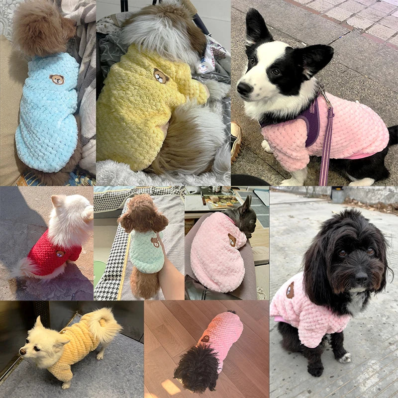 Winter Pet Dog Clothes,  Bear Print Dog Hoodie,  Soft Warm Puppy Sweatshirt , Chihuahua, French Bulldog, Coat Jacket Fashion, Dog Costume