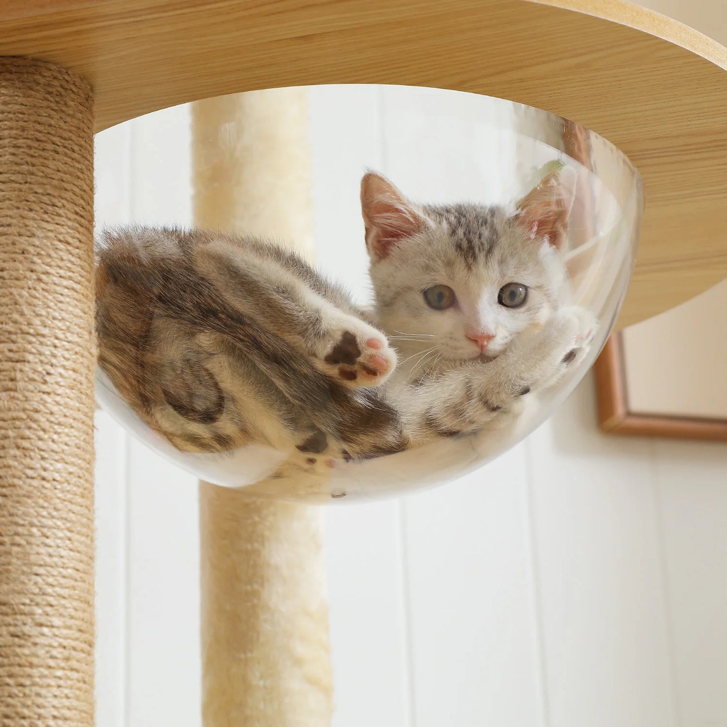 Multi-Level Cat Tree for Indoor Wood Cat , Tower with Scratching Posts Spacious Condo, Hammock Top Perch Cat Scratcher