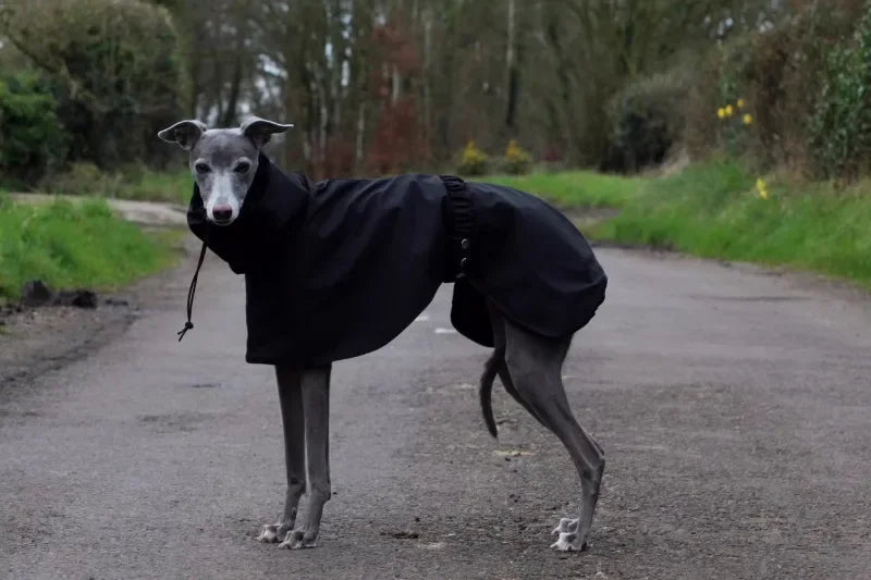 Waterproof Dog Raincoat , Large Size Luxury Whippet Greyhound Dog Raincoats Jacket, Doberman, Pinscher, Raincoat Outdoor Walking