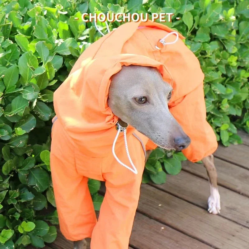 Italian Greyhound Raincoat, Autumn and Winter Outdoor Pet Jacket ,Whippet Windproof and Rainproof Dog Clothes