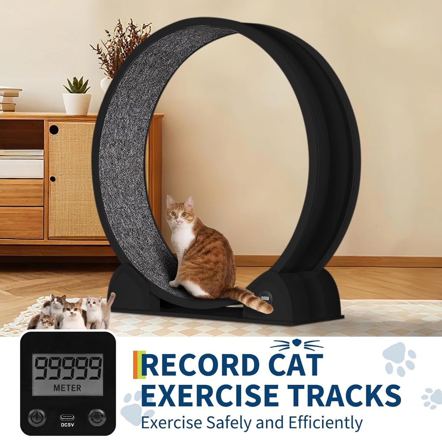 Cat Exercise Wheel for Indoor Cats, ABS Cat Wheel Exerciser Quiet Cats Treadmill with Pedometer, Small Animal Running Wheels