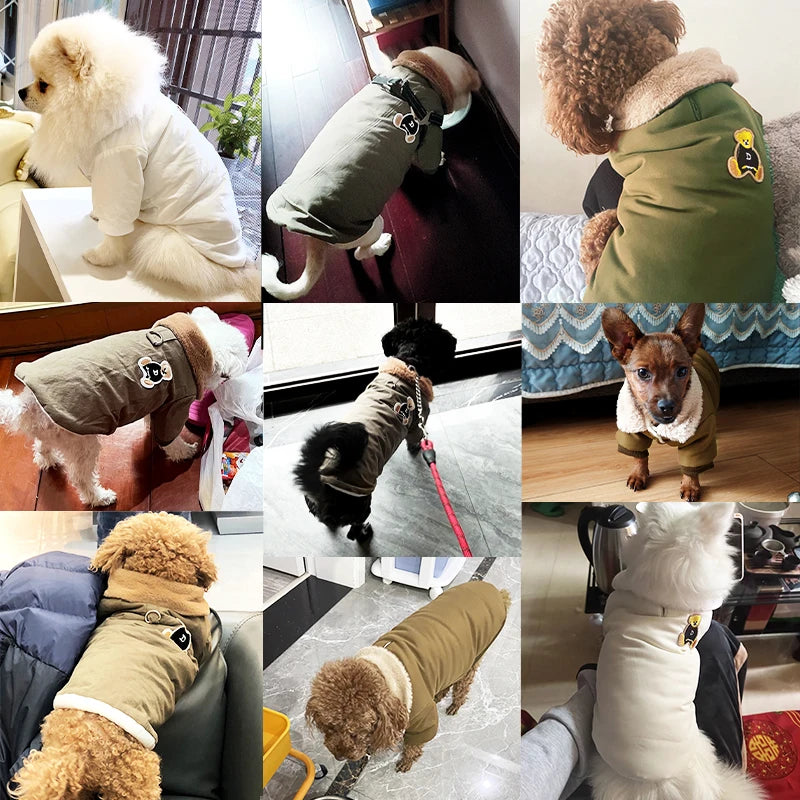Winter Dog Clothes Luxury Bear Print Fur Collar Windproof Jacket, Chihuahua, Yorkies ,Warm Coat Puppy Outfit ,Clothing Pet Costume