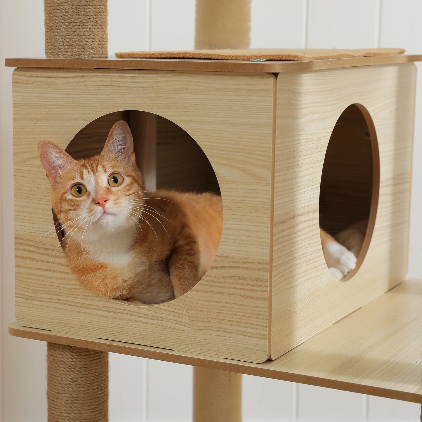 Multi-Level Cat Tree for Indoor Wood Cat , Tower with Scratching Posts Spacious Condo, Hammock Top Perch Cat Scratcher