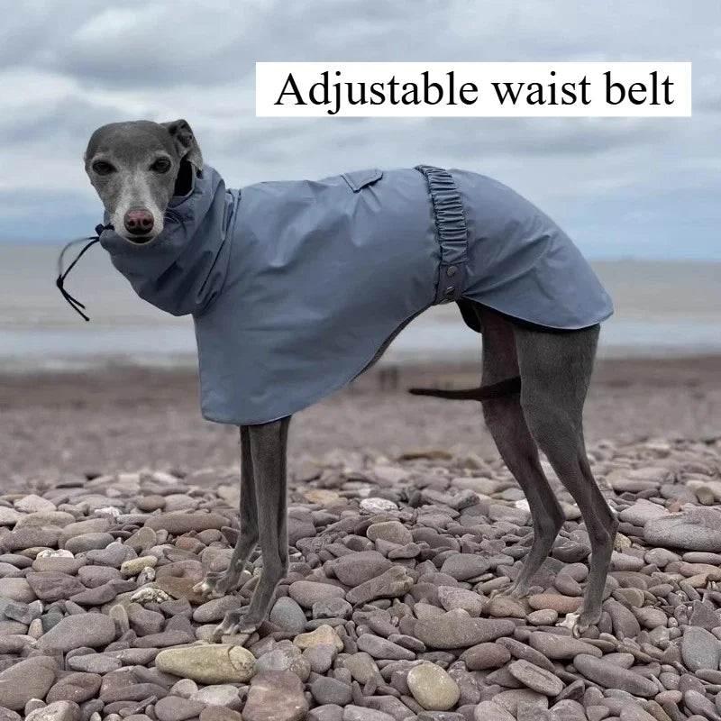 Waterproof Dog Raincoat , Large Size Luxury Whippet Greyhound Dog Raincoats Jacket, Doberman, Pinscher, Raincoat Outdoor Walking