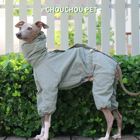 Italian Greyhound Raincoat, Autumn and Winter Outdoor Pet Jacket ,Whippet Windproof and Rainproof Dog Clothes