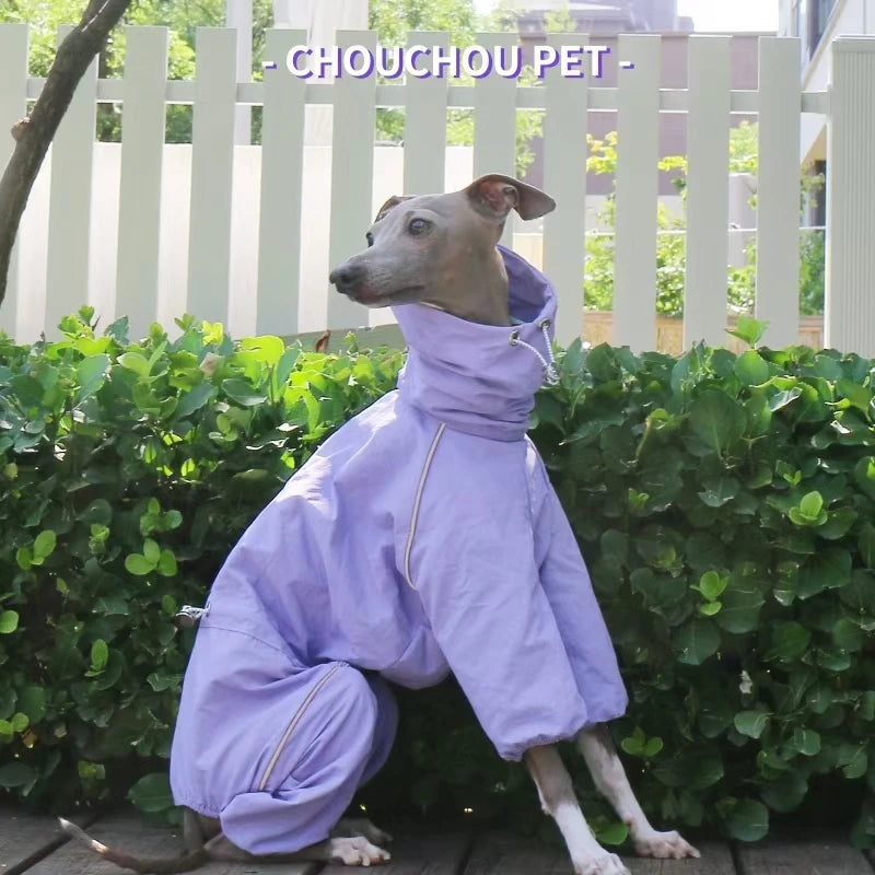 Italian Greyhound Raincoat, Autumn and Winter Outdoor Pet Jacket ,Whippet Windproof and Rainproof Dog Clothes